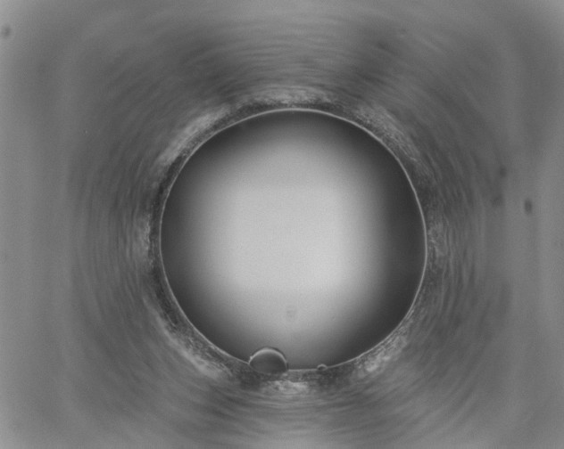 X0000061730159200512091554