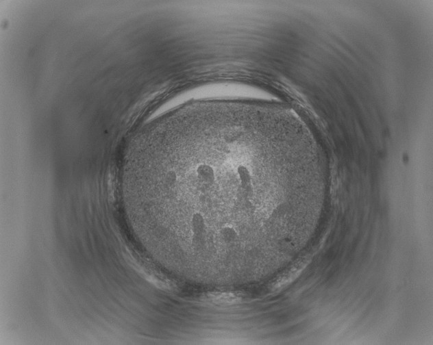 X0000061730161200512091554