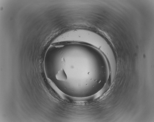 X0000061730162200512091554