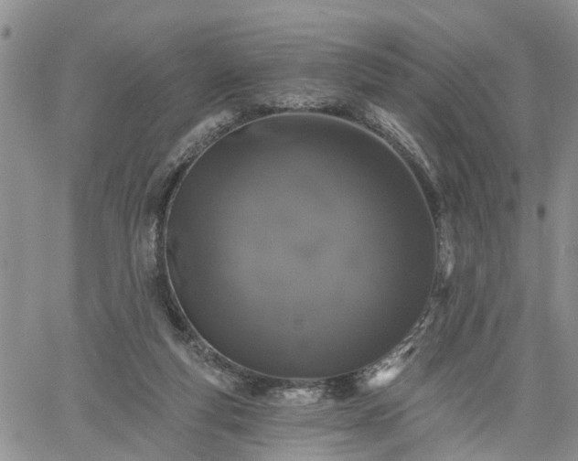 X0000061730163200512091554