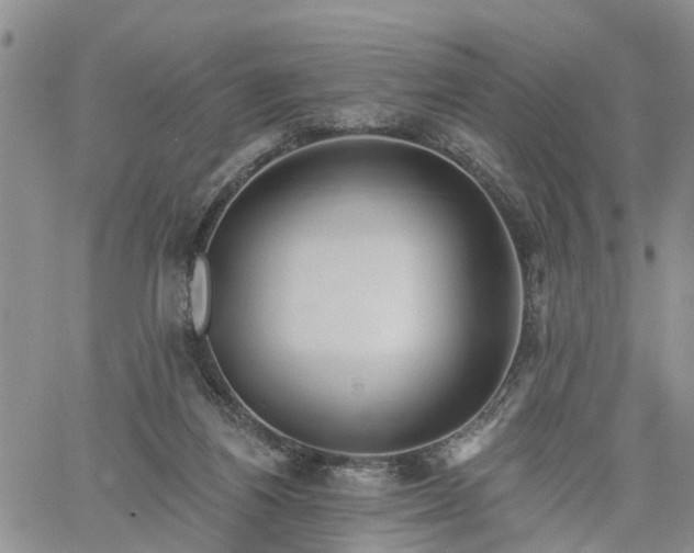 X0000061730164200512091554