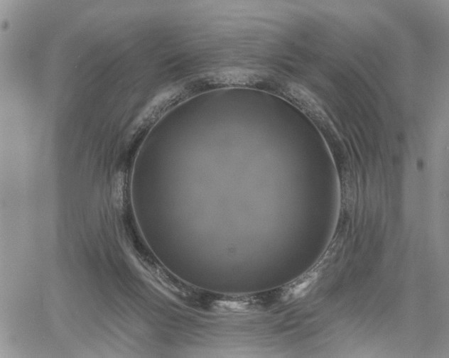 X0000061730167200512091554