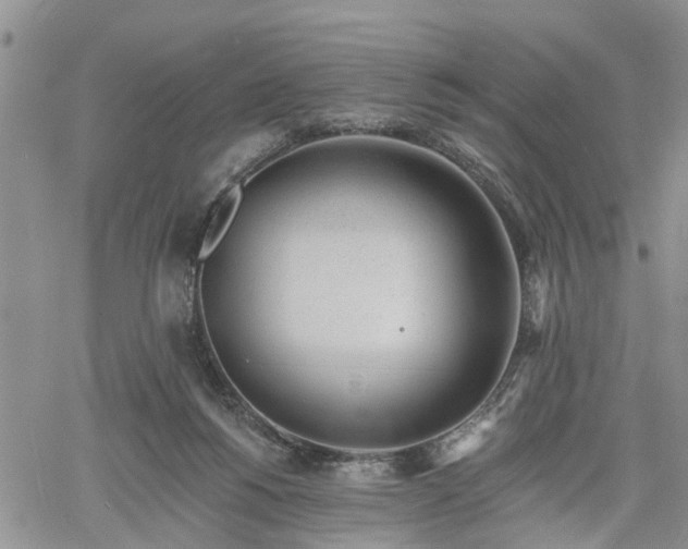 X0000061730168200512091554