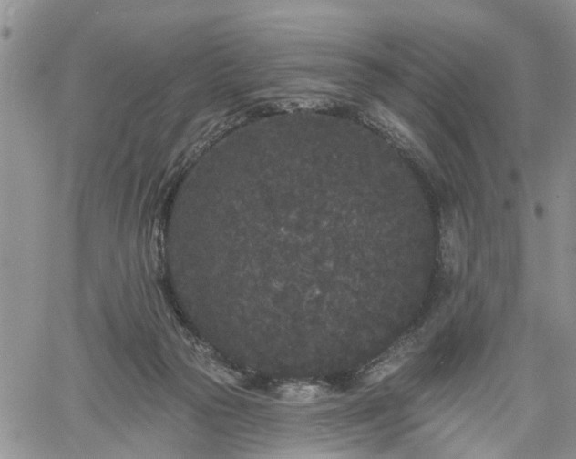 X0000061730169200512091554