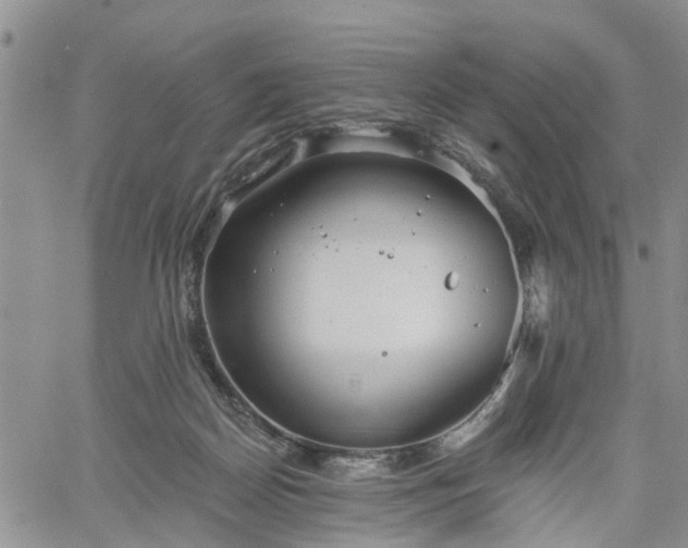 X0000061730170200512091554