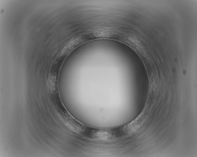 X0000061730171200512091554