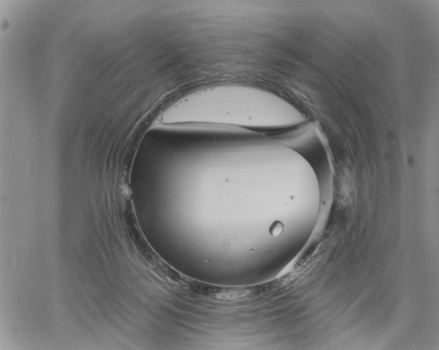 X0000061730172200512091554