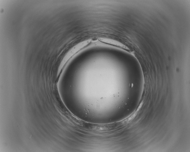 X0000061730174200512091554