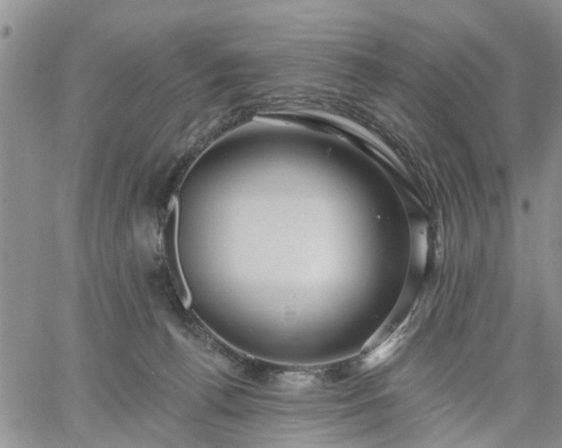 X0000061730176200512091554