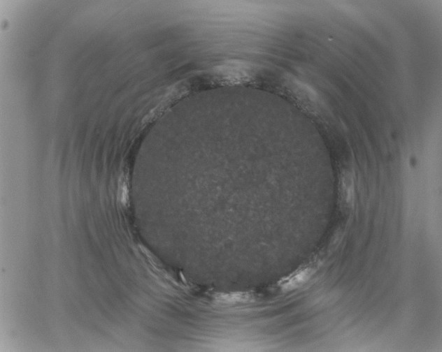 X0000061730177200512091554