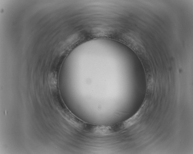 X0000061730179200512091554