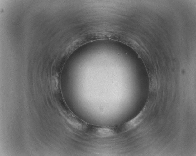 X0000061730183200512091554