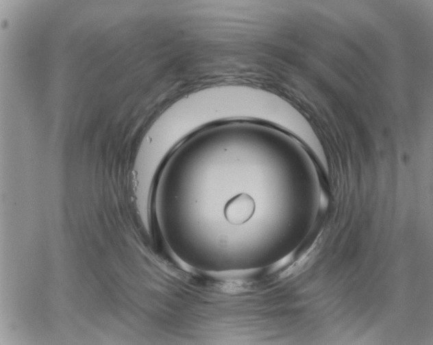 X0000061730184200512091554