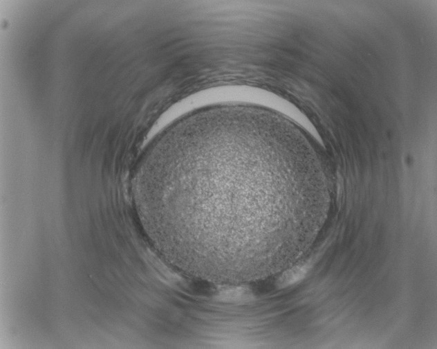 X0000061730185200512091554