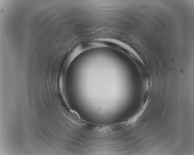 X0000061730186200512091554