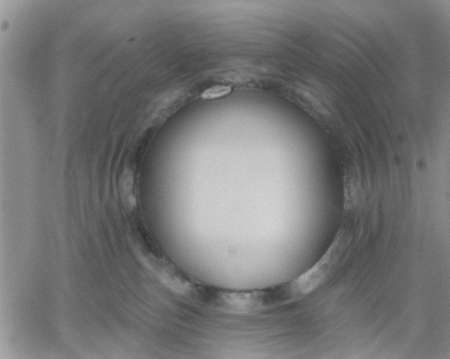 X0000061730187200512091554