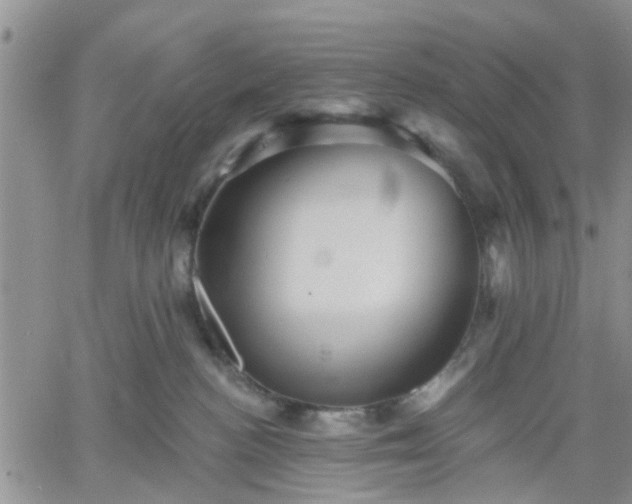 X0000061730188200512091554