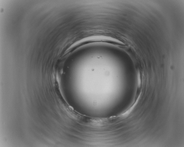 X0000061730190200512091554