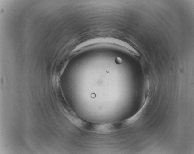 X0000061730191200512091554