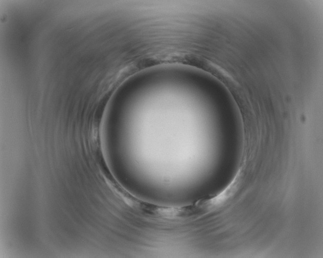 X0000061730192200512091554