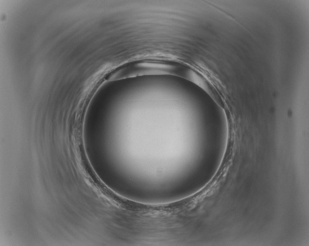 X0000061730193200512091554