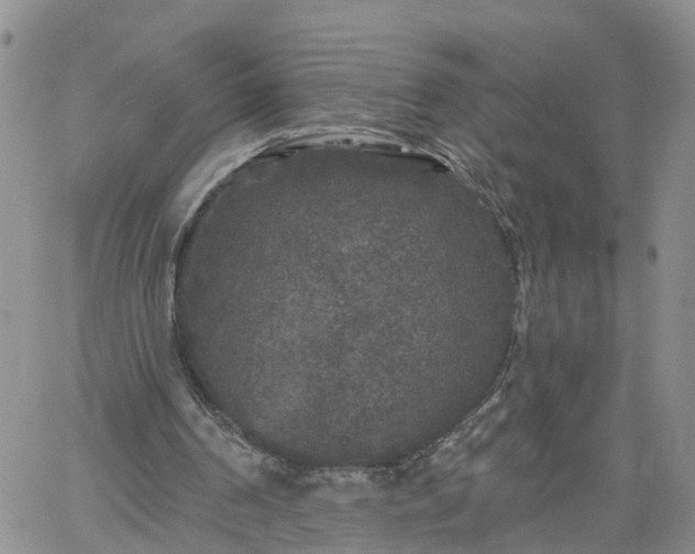 X0000061730194200512091554