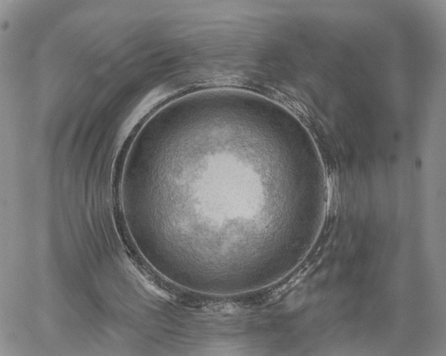 X0000061730195200512091554