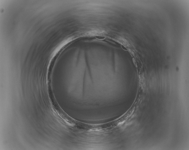 X0000061730196200512091553