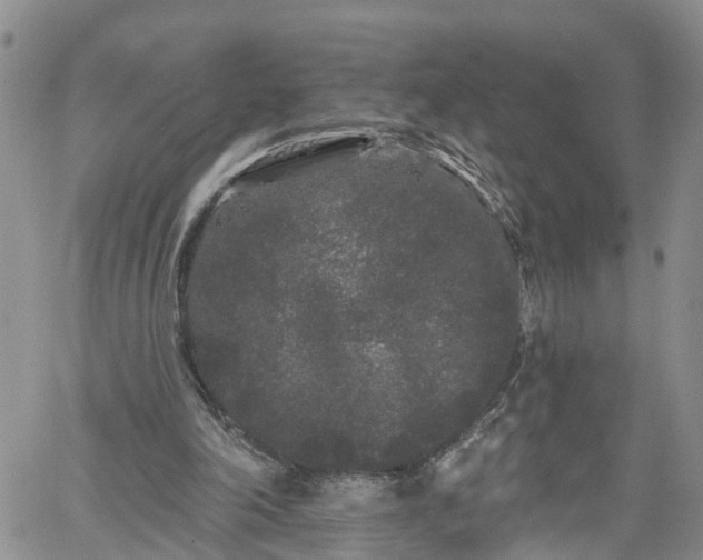 X0000061730198200512091553