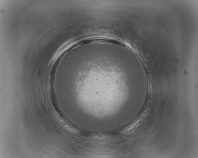 X0000061730199200512091553