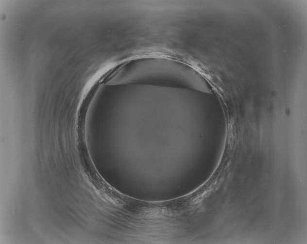 X0000061730200200512091553