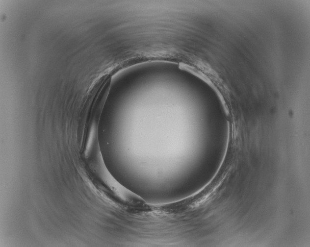 X0000061730201200512091553