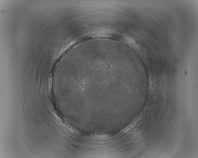 X0000061730202200512091553