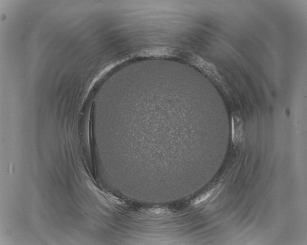 X0000061730204200512091553