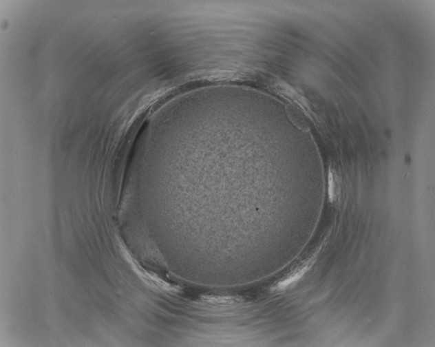 X0000061730205200512091553