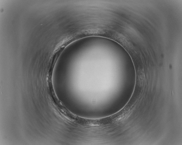 X0000061730207200512091553