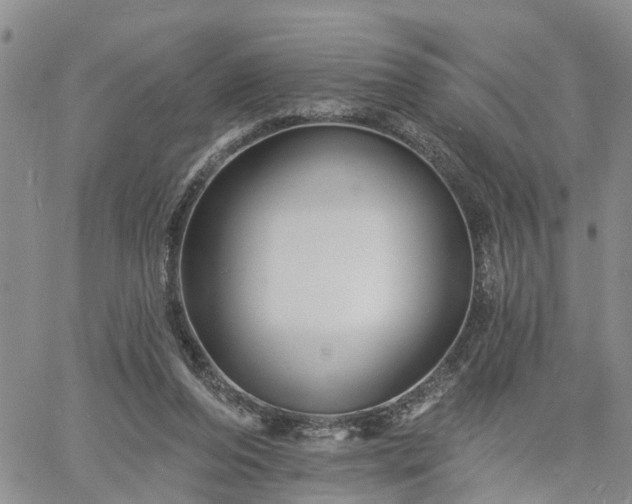 X0000061730208200512091553