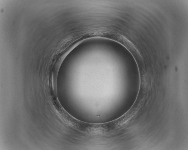 X0000061730209200512091553