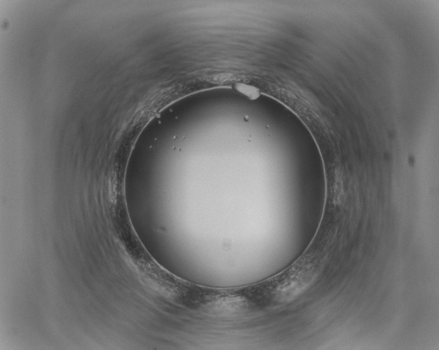 X0000061730210200512091553