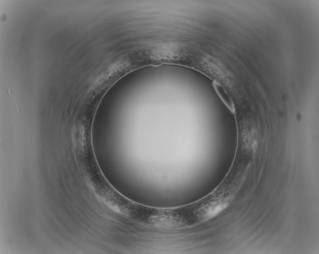 X0000061730211200512091553