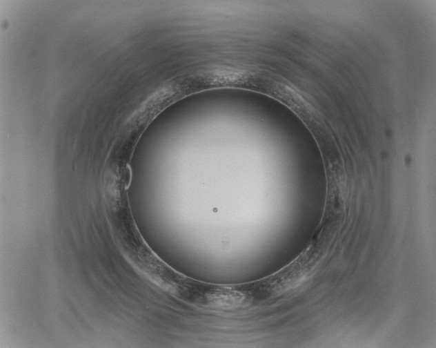 X0000061730215200512091553