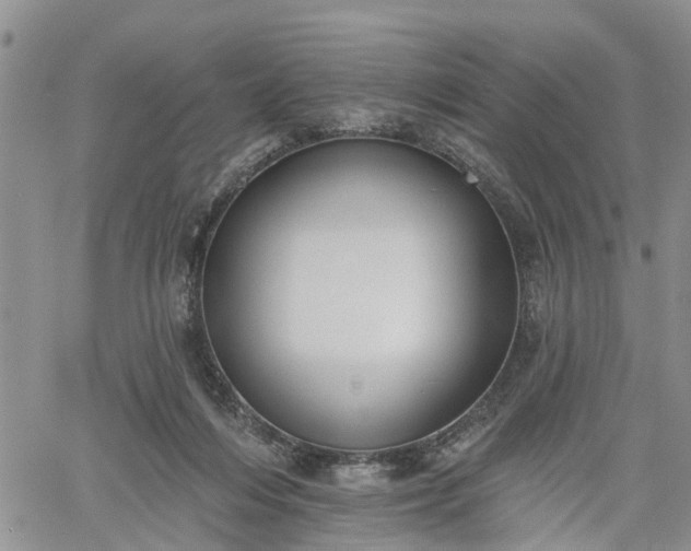 X0000061730216200512091553