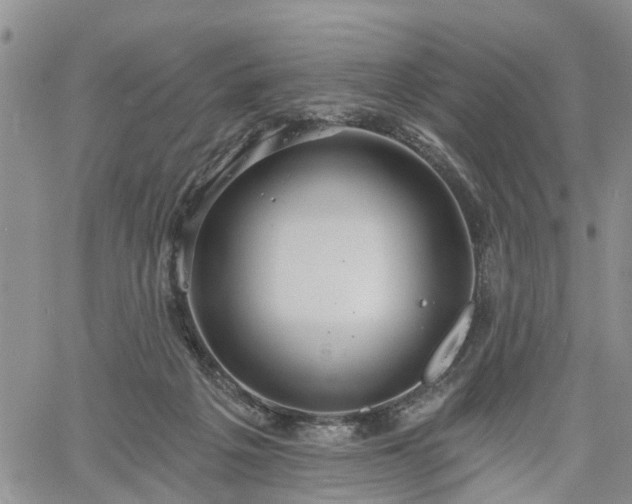 X0000061730217200512091553