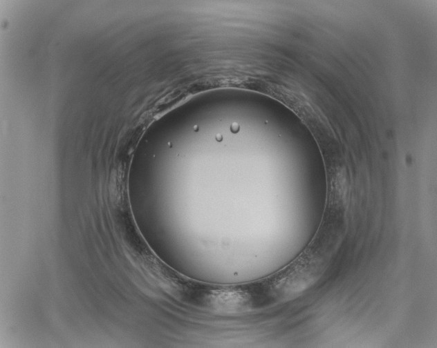 X0000061730218200512091553