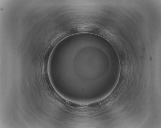 X0000061730219200512091553