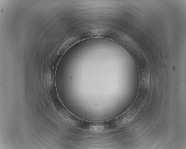 X0000061730220200512091553