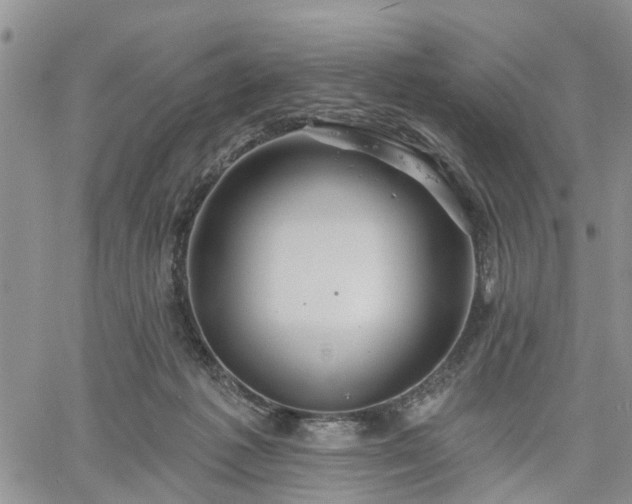 X0000061730221200512091553