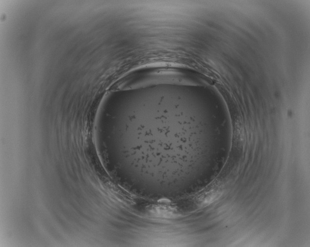 X0000061730223200512091553