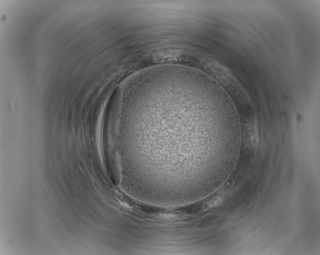 X0000061730224200512091553