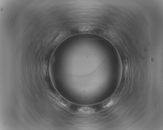 X0000061730227200512091553